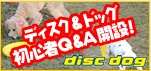 ディスク＆ドッグ初心者限定Ｑ＆Ａ