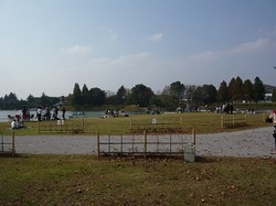 P1030353.jpg