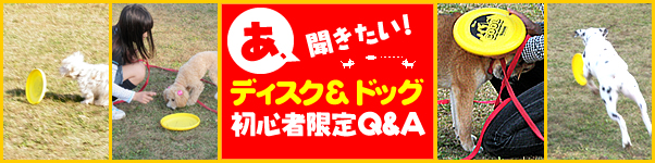 ディスク&ドッグ初心者限定Q&A