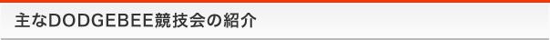 主なDODGEBEE競技会の紹介