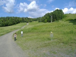 070707_Hidakacyo-005.jpg