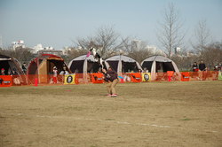 DSC_0750.JPG