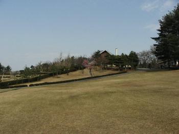 HDGC_Ishikawa_001.jpg