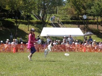 090920_Kamiyugi_Fes_001mini38.JPGのサムネール画像