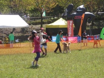 090920_Kamiyugi_Fes_001mini44.JPGのサムネール画像