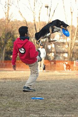 Tokyo_Flying-Dogs_001.jpg