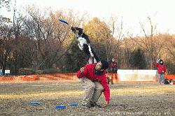 Tokyo_Flying-Dogs_002.jpg