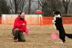 Tokyo_Flying-Dogs_008.jpg