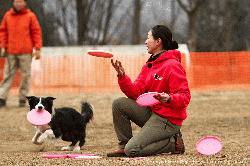 Tokyo_Flying-Dogs_009.jpg