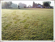 USDGC2006：芝の上には足跡がつくほど。