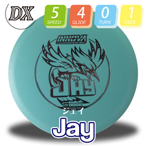 INNOVA DX Burst-Logo